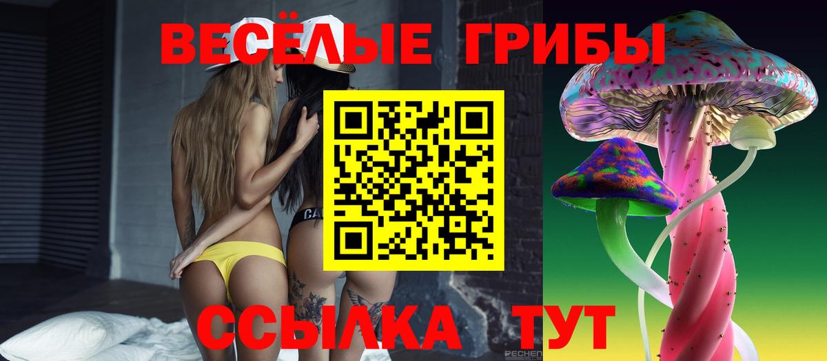 Псилоцибиновые грибы прущие грибы Дмитров