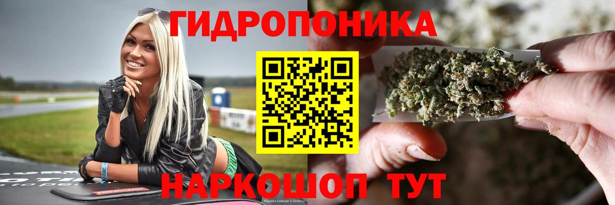 Бошки марихуана план  Марихуана SATIVA & INDICA  Бошки марихуана SATIVA & INDICA  Вход с VPN  Дмитров 